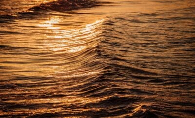 2018-06-09_0275_KV-Binz-scaled-1