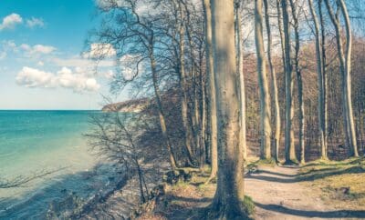 D75_9160_granitz_wanderweg_kueste-scaled-1